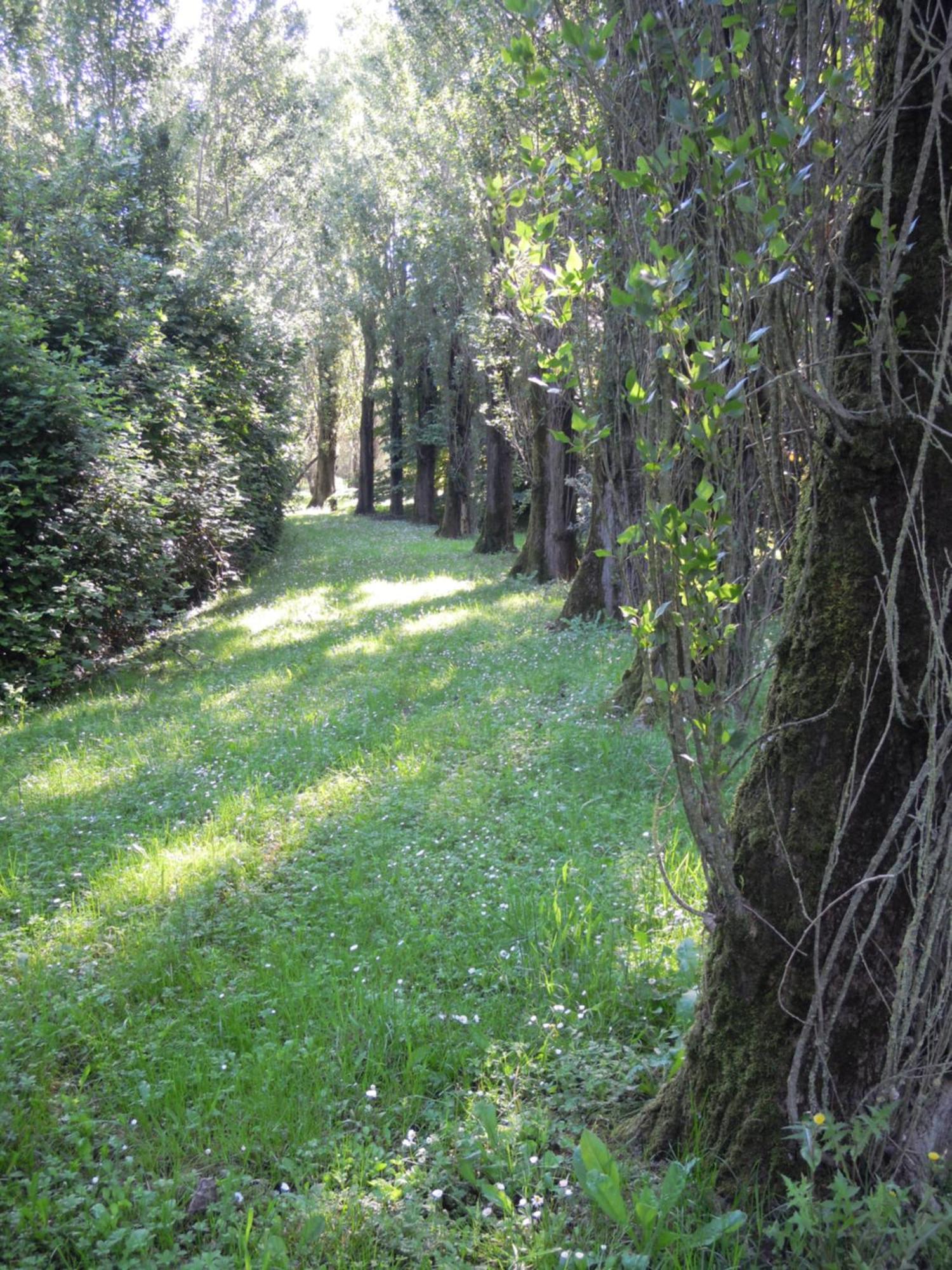 Holiday Home Giaron Rosolina Buitenkant foto